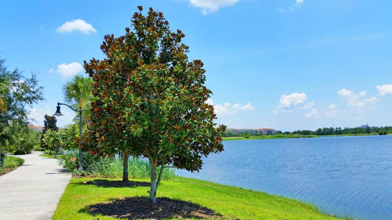 Ground-Floor Condo Next To Vista Cay Clubhouse And Pool! 奥兰多 外观 照片